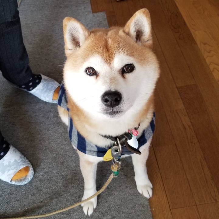 Bae80bd3 aadd 405c 9759 847ef9ea2247 1610509945163