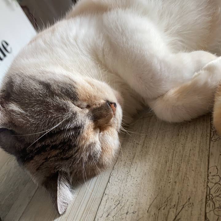 Bae818c1 61b8 41d7 885a 3fc00bb5cd2d 1596842702713