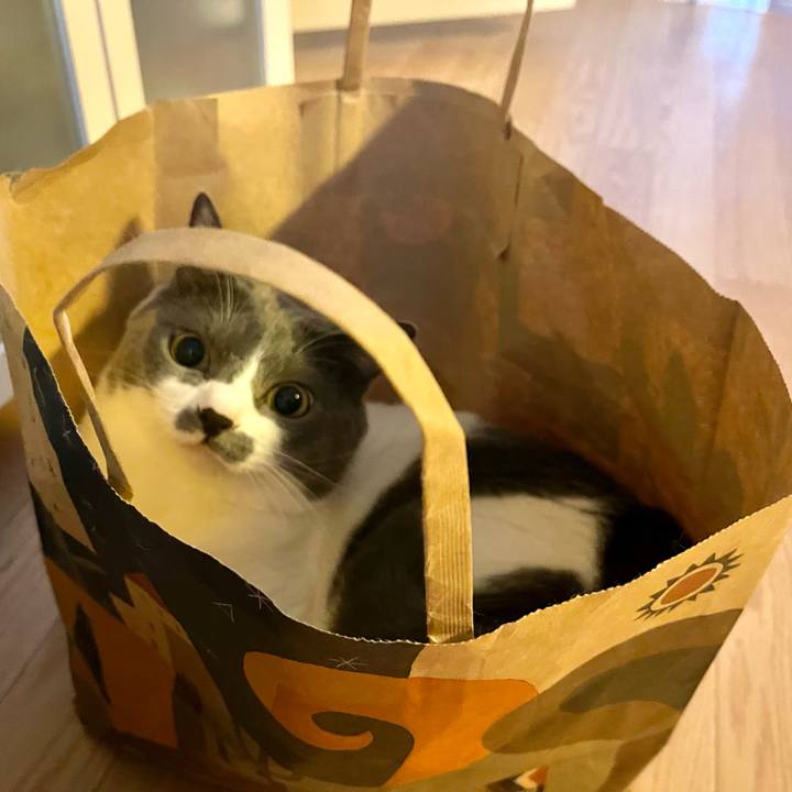 Bae81d21 1df9 405f 92cc 1080cf570d5f 1660805938361