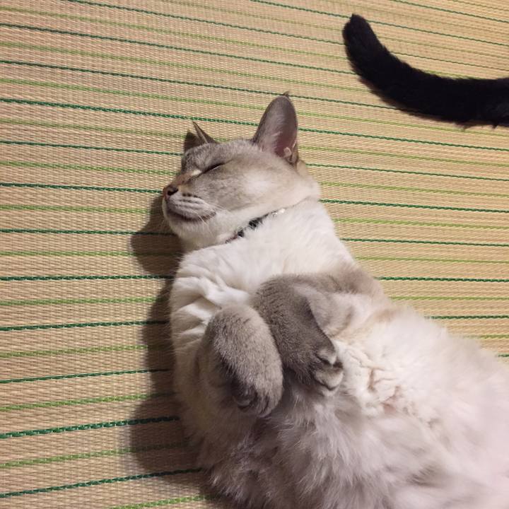 Bae81d56 153c 415f 9098 7b17b7a406cf 1536146396769