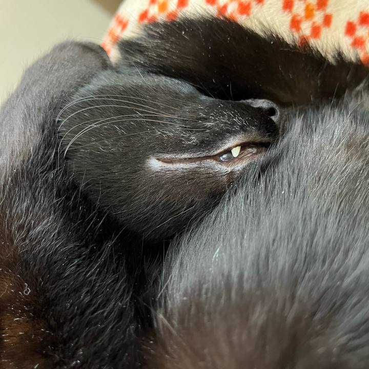 Bae82709 a6d3 4de3 a4f6 a92313a14b1c 1645711754110