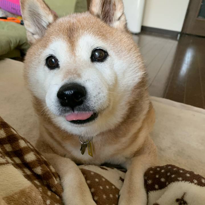 Bae84129 6564 42cb a4e4 6884f3e0cae3 1586570783103