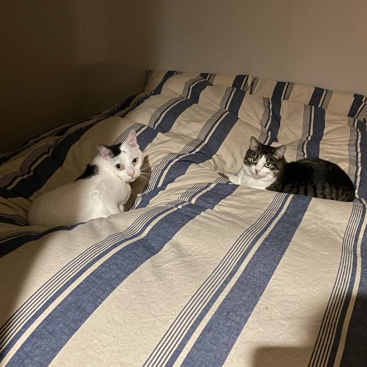 Bae8b5ea 3f87 4866 8c93 5a465f86117c 1729811355659