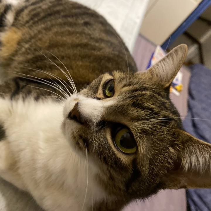 Bae8ba4c 532e 4cf6 9a66 97554ebd38b9 1658785404574