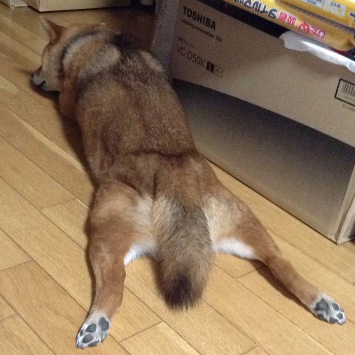 Bae8fc6b 58d4 4849 9600 1f32caebe91f 1521183623099