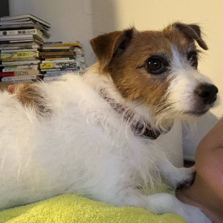 Bae9005e 1964 42fe 946c 64b323eaaa2a 1630677652877