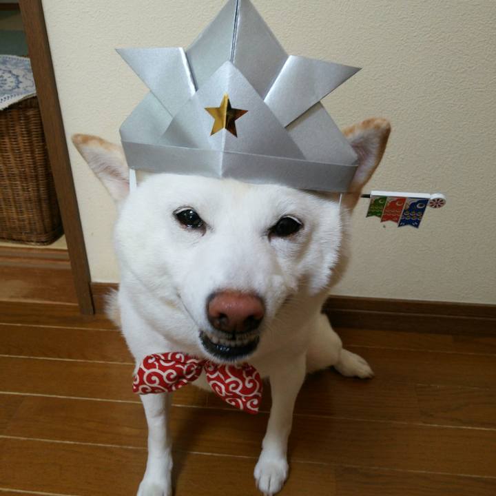 Bae934f4 da1c 4853 86b0 a9996f75efc5 1557018533162