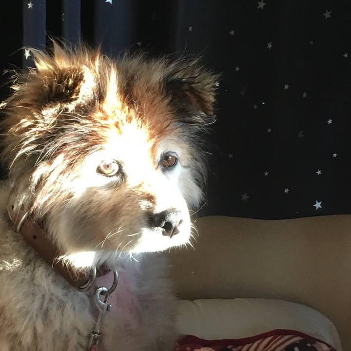 Bae94d49 b2cd 481f a331 c8eb6bdf17c0 1585554440541