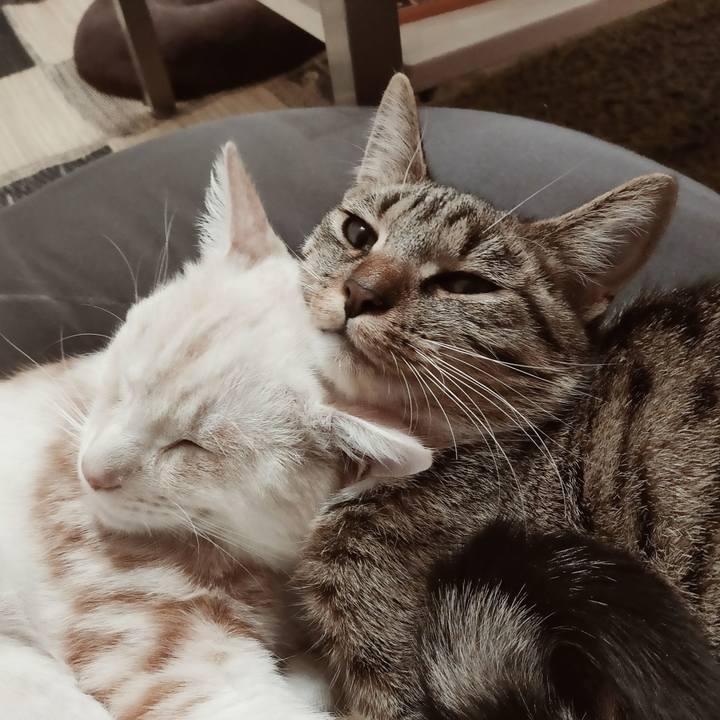 Bae954d7 2500 4761 adf5 619cae026fd9 1640257190449