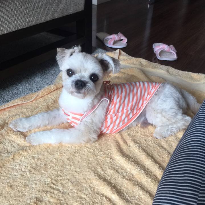 Bae95bb8 b3e0 490e b864 639312853337 1530013890108