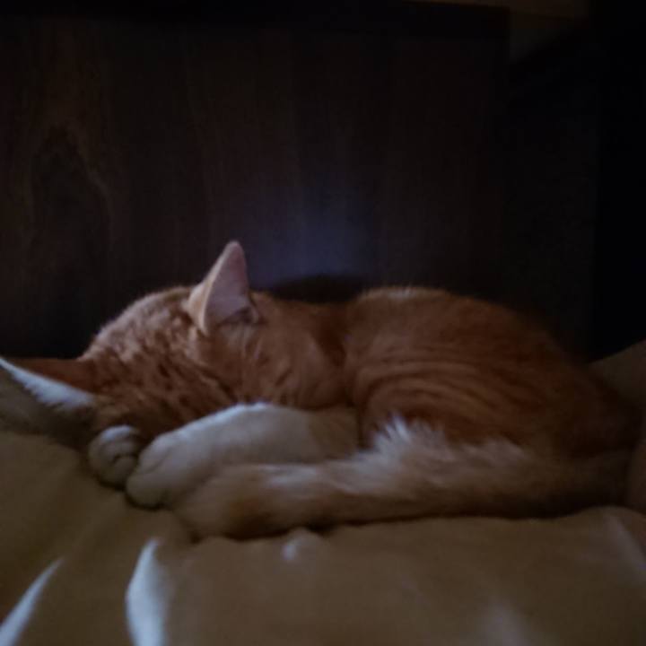 Bae97f3a d384 4a31 9bf6 b7b711eb8fc1 1588550417262