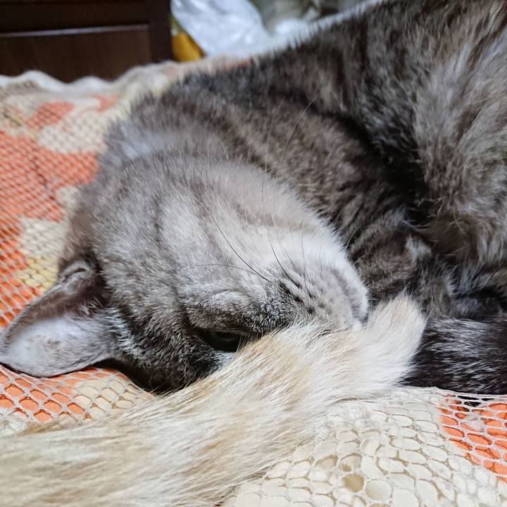 Bae998b6 19d5 4844 a6bb daea62811eea 1569845605298