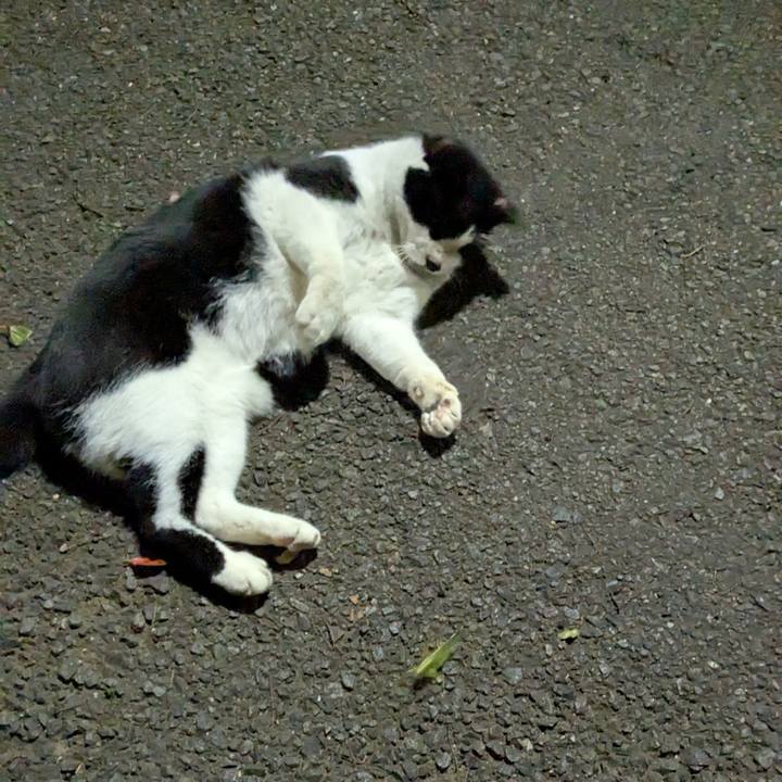 Bae9b1a6 801a 4a0a b023 3a9307b9e1ba 1754230595971