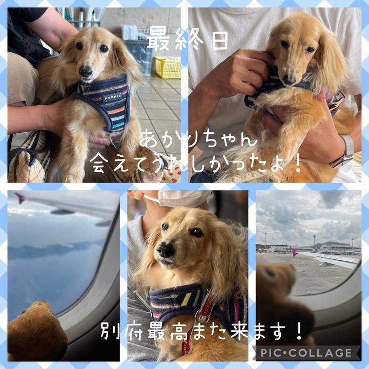 Bae9efcb e899 4f67 ad3c 6946ca780377 1658406280181