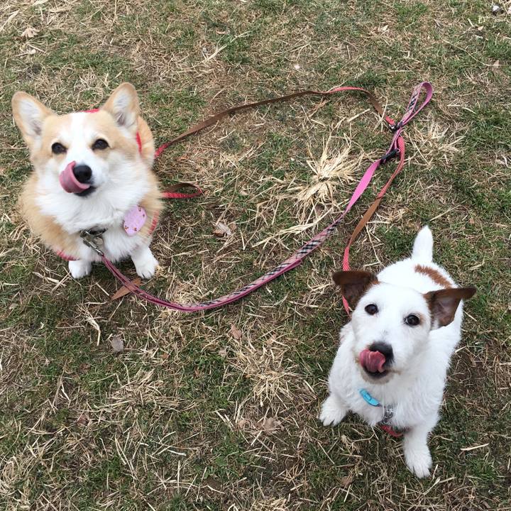 Baea691c be7a 49e9 a0f5 bbdc7574a584 1547278531363