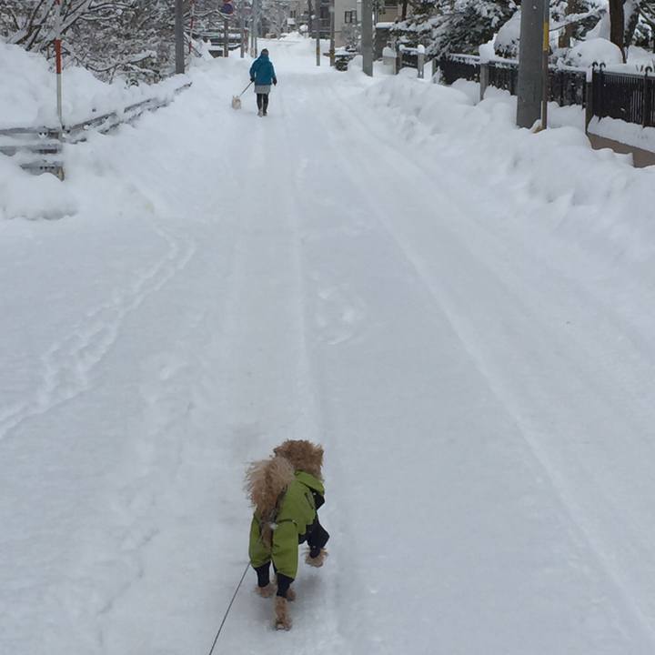 Baeae597 26ab 4f4c b903 c99595bb86e9 1517130719495