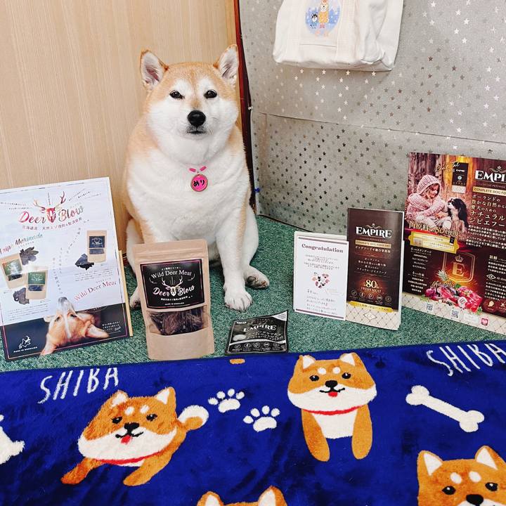 Baeb2511 2357 4f0e 8476 a0620dcf7580 1684303314315