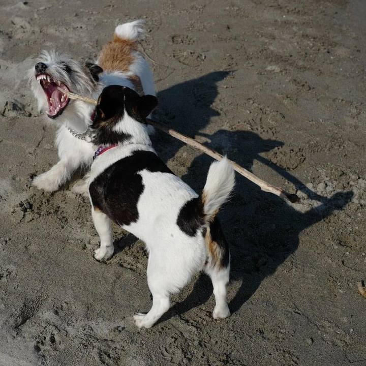 Baeb987e 7a59 4e0e b278 ddfcd00aed79 1624509619701