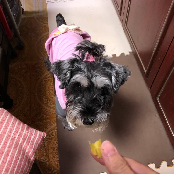 Baebb8ea bdbf 432e 86f0 645ec9344609 1665364590774