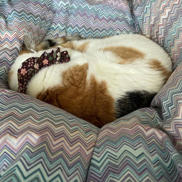 Baebd92b db2f 4243 aec4 d1b20ded51bf 1738981077325