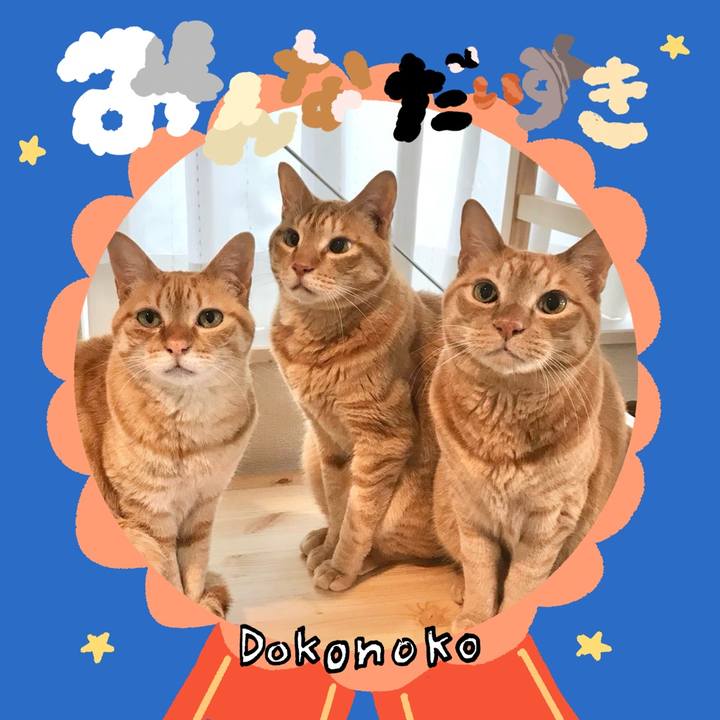 Baebdc34 1462 4a27 b601 2ec90d686480 1780625959443
