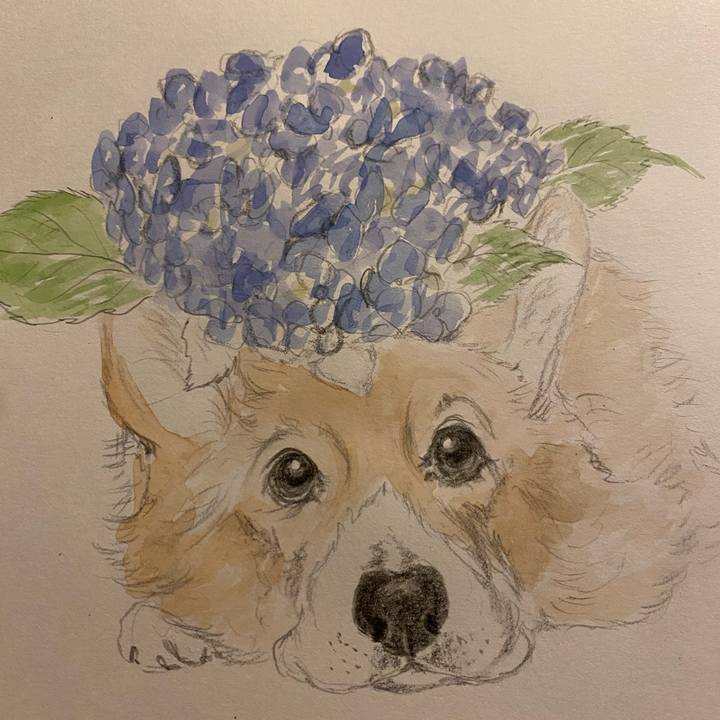 Baebedba a493 40ec 8e09 39ac7283342f 1656599922703