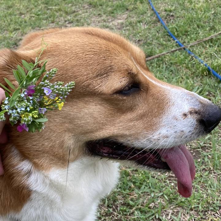 Baec2462 6ec3 44bd bd3f 27cabb2e4817 1714436557271