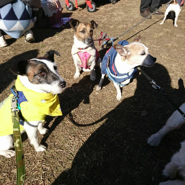 Baec3bb8 e12a 4f4f 8fd6 3fab7a813d5b 1515293241380