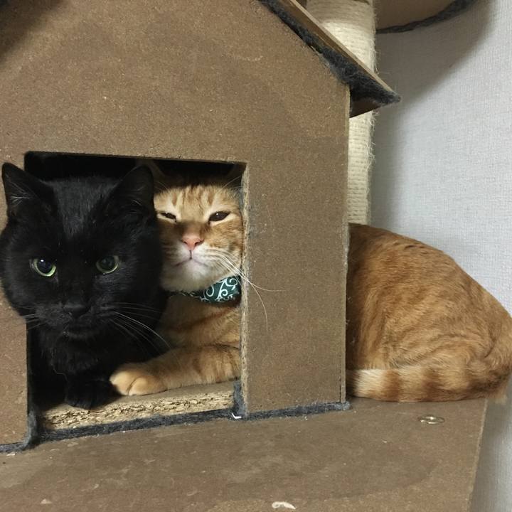 Baec9c93 0e2b 4fbb b523 72c9f12ac653 1551094785391