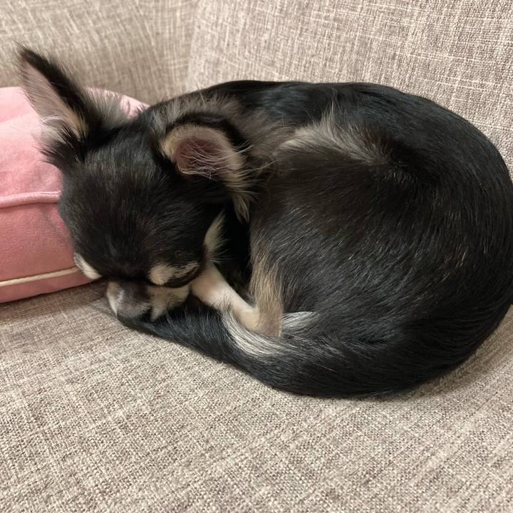 Baeca33e c500 47d8 97bd ee428d3209f0 1600085302399