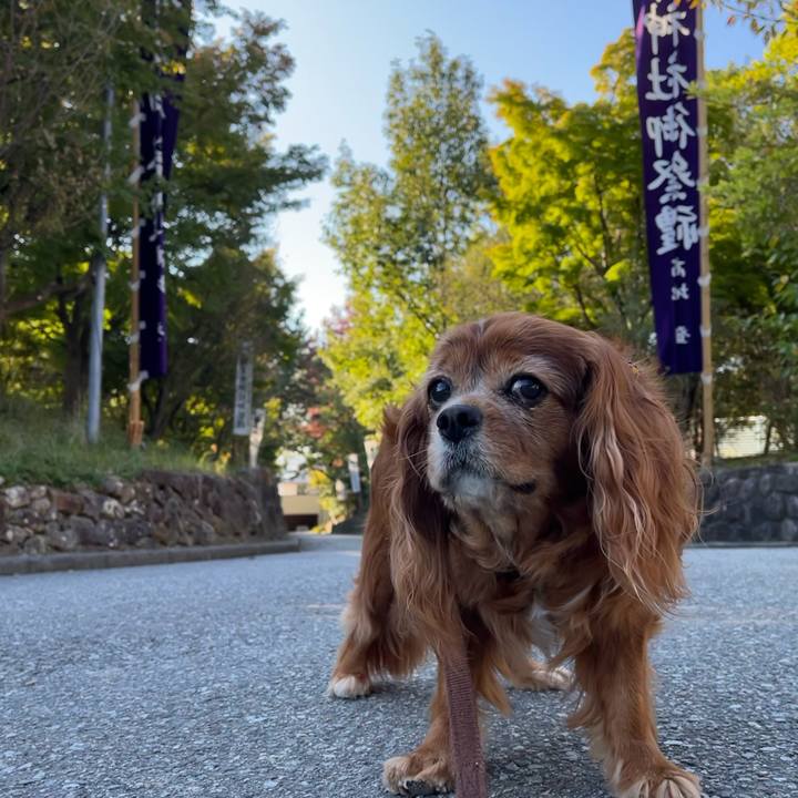 Baeca47c 1926 4404 a4f8 17740a012d74 1728863719440