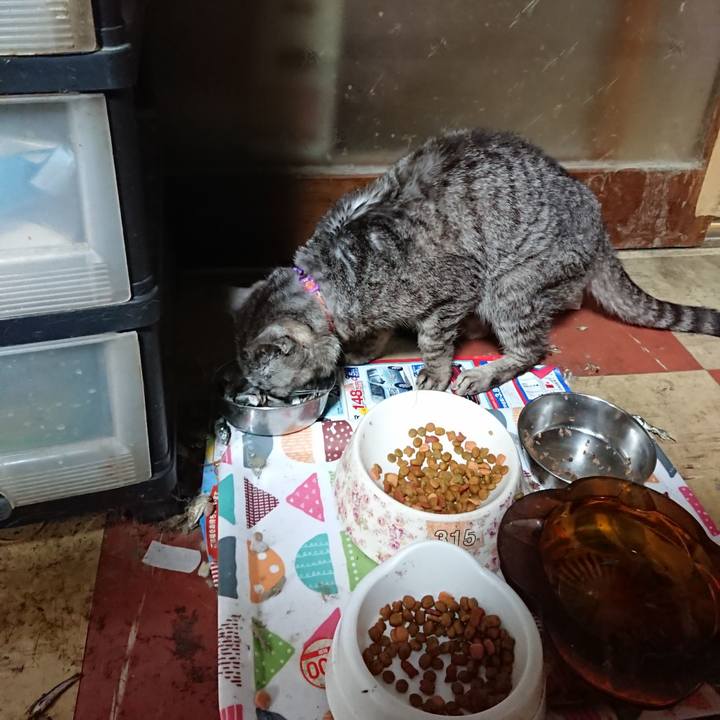 Baecbbaa 2d6f 4adc abd7 cb1ce1df2df5 1595928301807