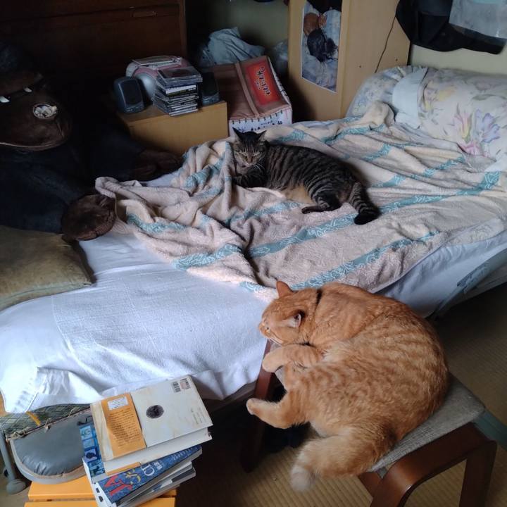 Baecbe44 b9f1 48cc a5b1 6ce8fde7bed7 1694903573681