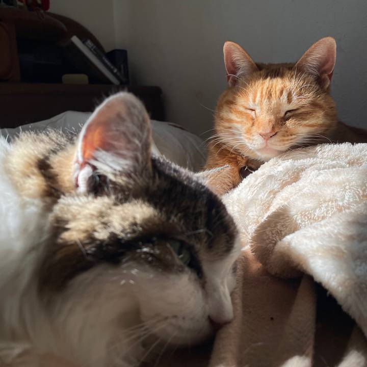 Baeccf73 947b 4ae5 92a5 4c1e479c503f 1706932248123