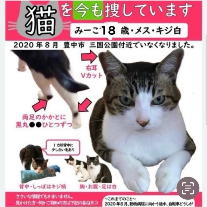 Baecf48c 5698 404c 99b7 41f311fe3c33 1754193569801