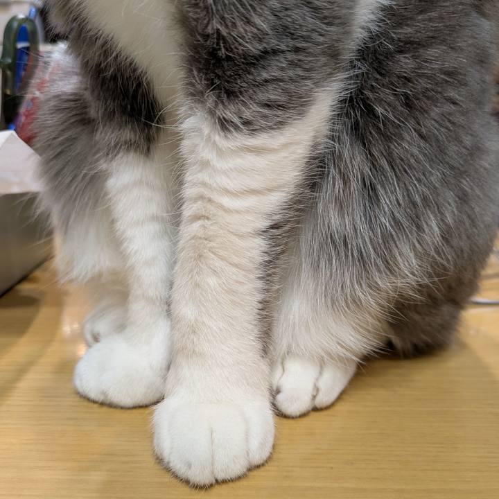 Baed42bd efec 4b0d 9038 1afe12ede747 1737973610834