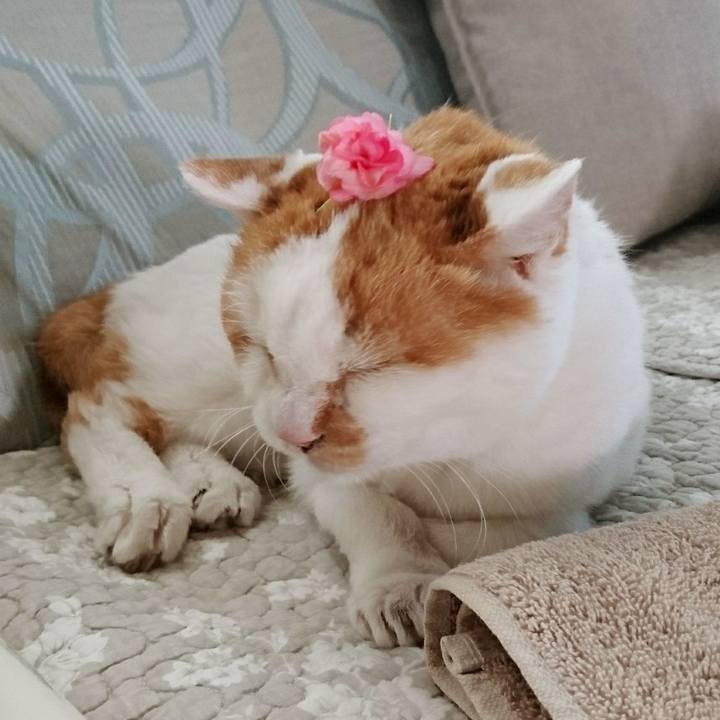 Baed42c1 941d 4a84 bb56 6ca123198504 1566100644746