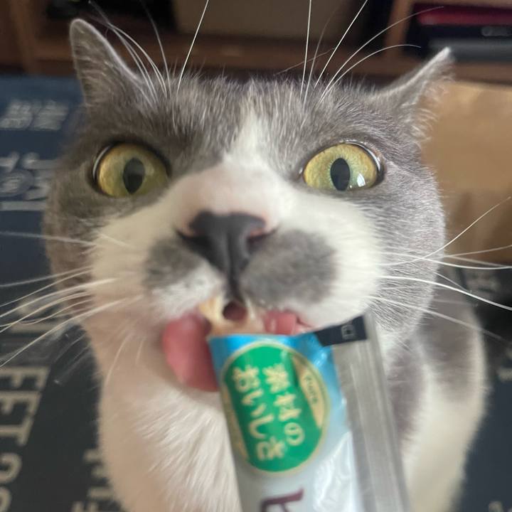 Baed56dd 3b96 4446 9df7 624c757aa5e0 1718101571849