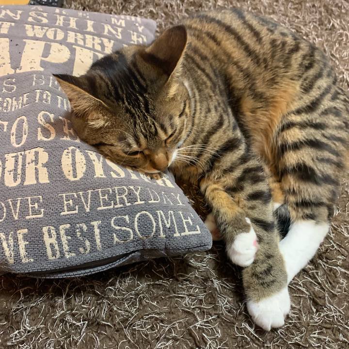 Baed7878 3f6b 4a3d a1ea a5de36ba9752 1548898474332