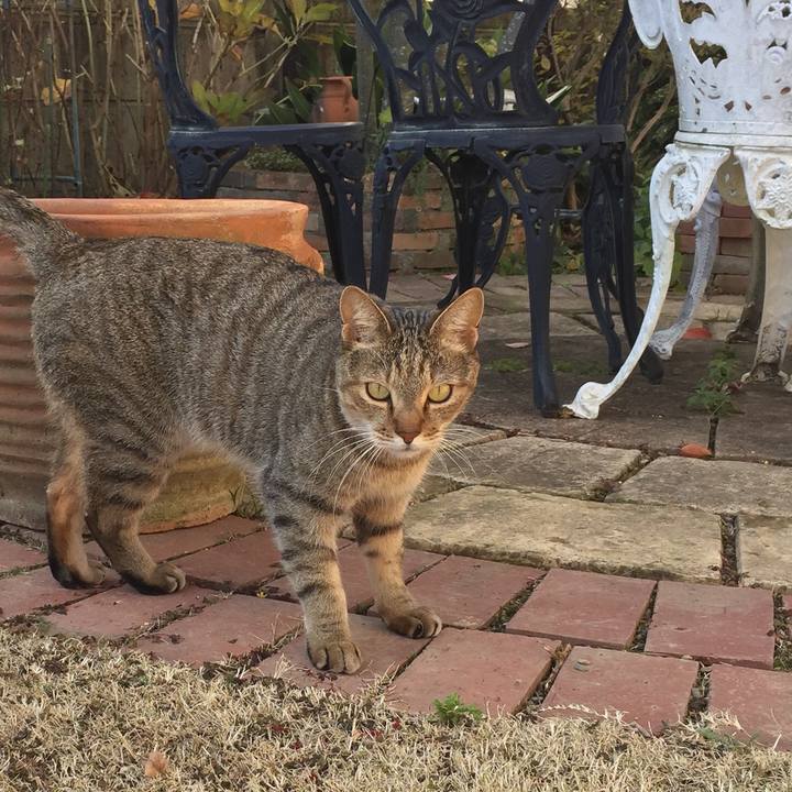 Baed8a88 a902 42d3 9a61 076334924eec 1512897008218