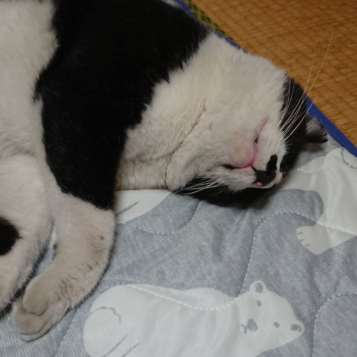 Baede892 7fb3 4c07 9520 016ef012b489 1532698538891