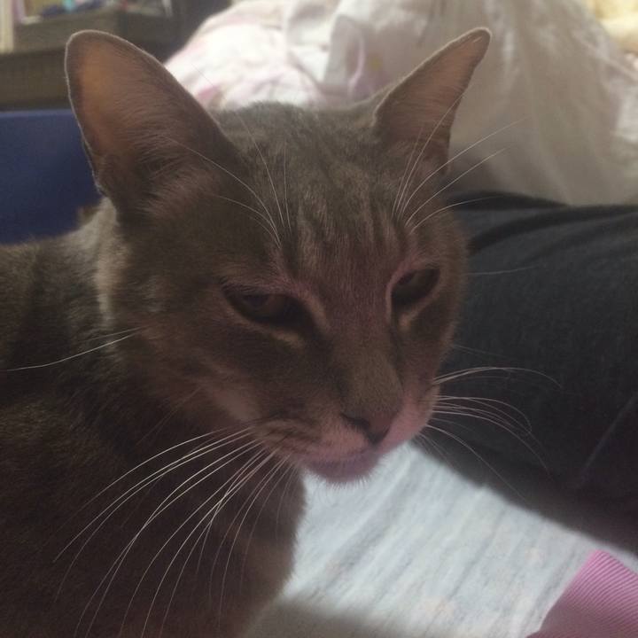 Baedf7c3 107a 4526 951b 21d0a32e70c8 1559734723091