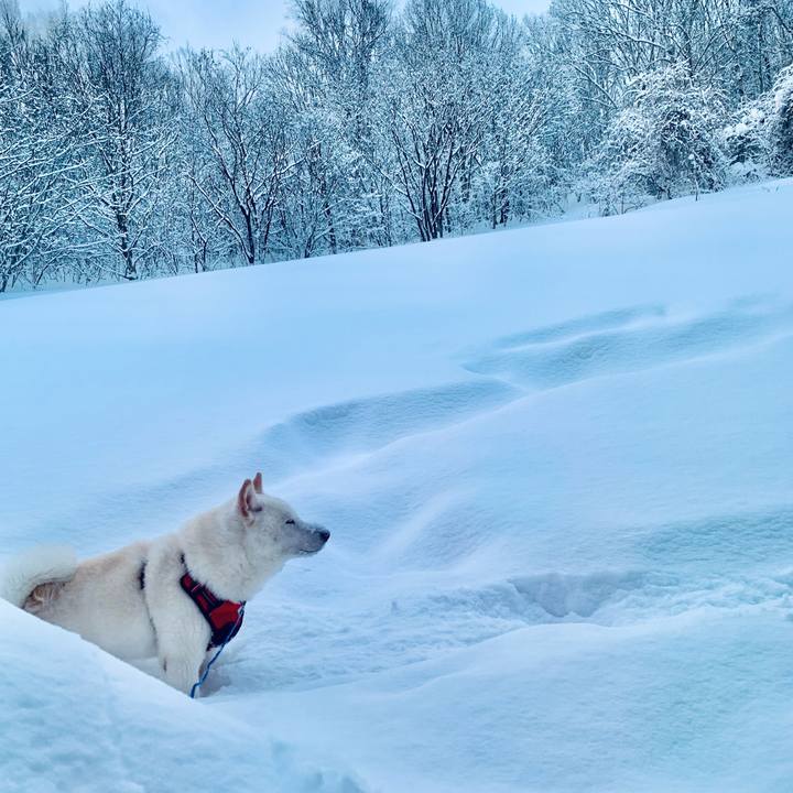 Baee0d44 3c7d 4991 8876 815e498978b4 1643242132865