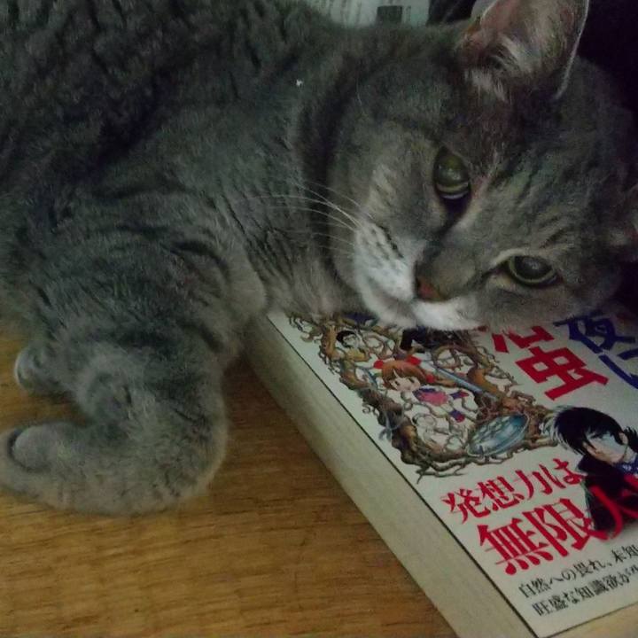 Baee1637 2a12 4075 a607 7ca59a94eced 1630435840317