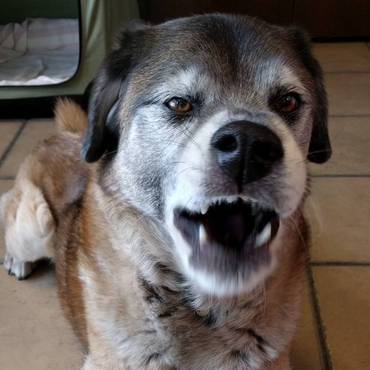 Baee1664 d61b 43e9 85be 4aec0c2e916e 1553298482090