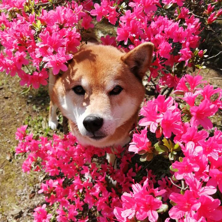 Baee46b5 87b9 4574 a460 573fca0566d4 1618963509863