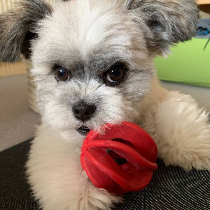 Baee5702 bc3e 4b4c a91d a792685a9633 1568931163808