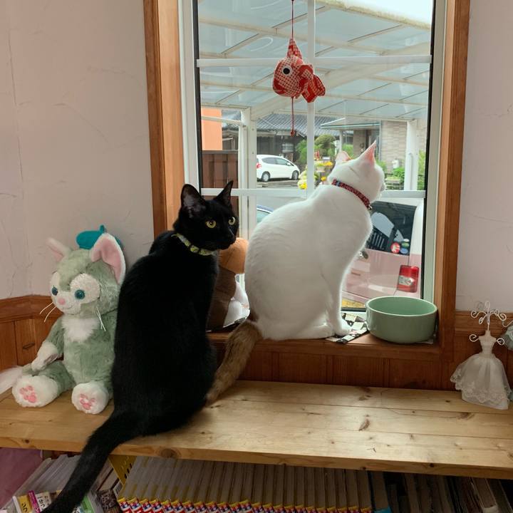 Baee5e89 1bd9 403c 9d17 a222e780ec74 1556165252783