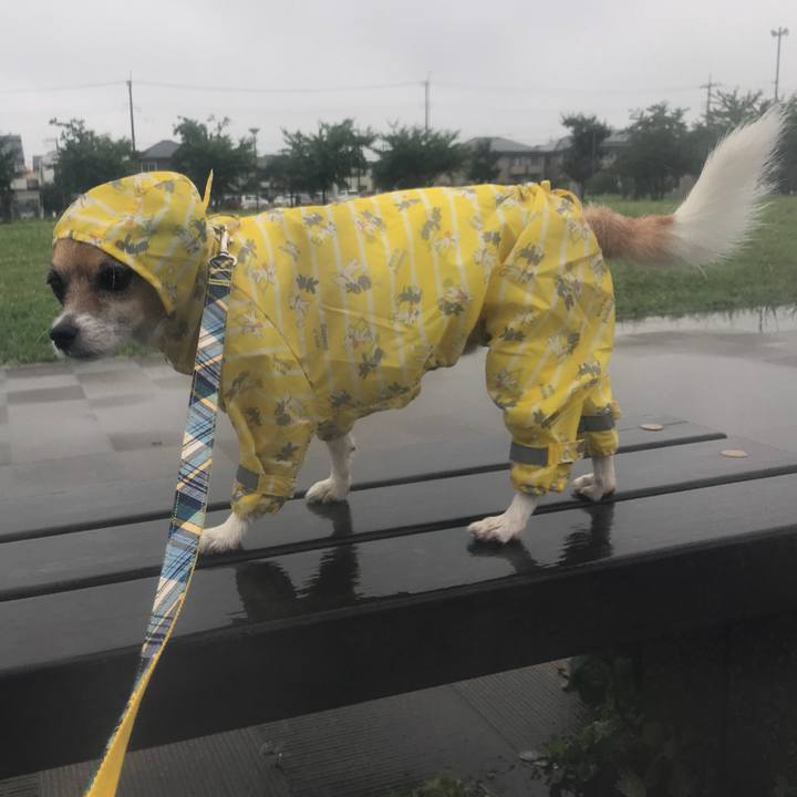 Baee721f ec41 4c38 8cba 9e7292fee7fd 1533717705842