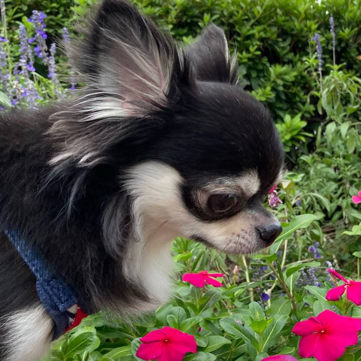 Baee903b 5795 4528 8ac0 4e3b235fc440 1633752666389